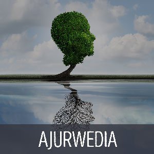 Ajurvédska metóda Ayur Read Pro